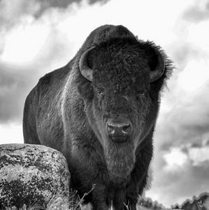 Meet your Posher, Kadee